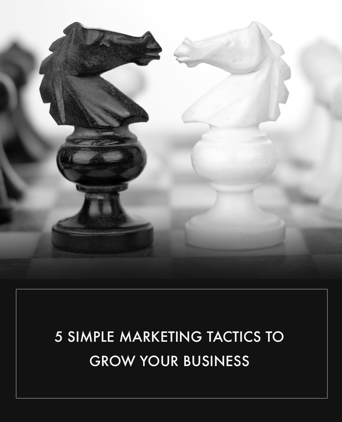 5 Simple Marketing Tactics to Grow your business